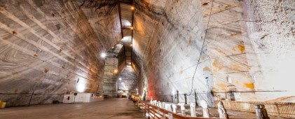 From Bucharest: Slănic Prahova Salt Mine Ticket and Transfer