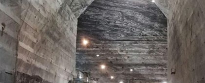 From Bucharest: Slănic Prahova Salt Mine Ticket and Transfer