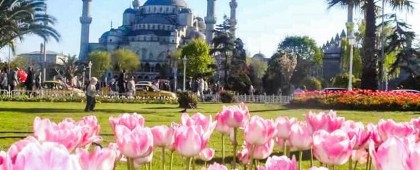 Istanbul: Blue Mosque & Hagia Sophia Guided Tour w/ Tickets